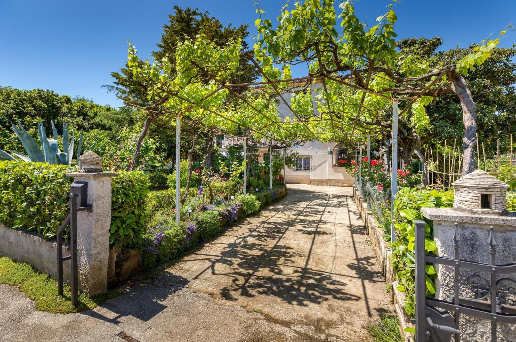 Appartement Milena